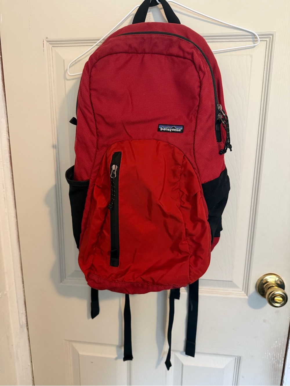 Patagonia Red and Black Everyday Backpack